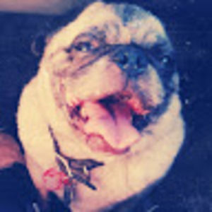 Meet your Posher, Jordan